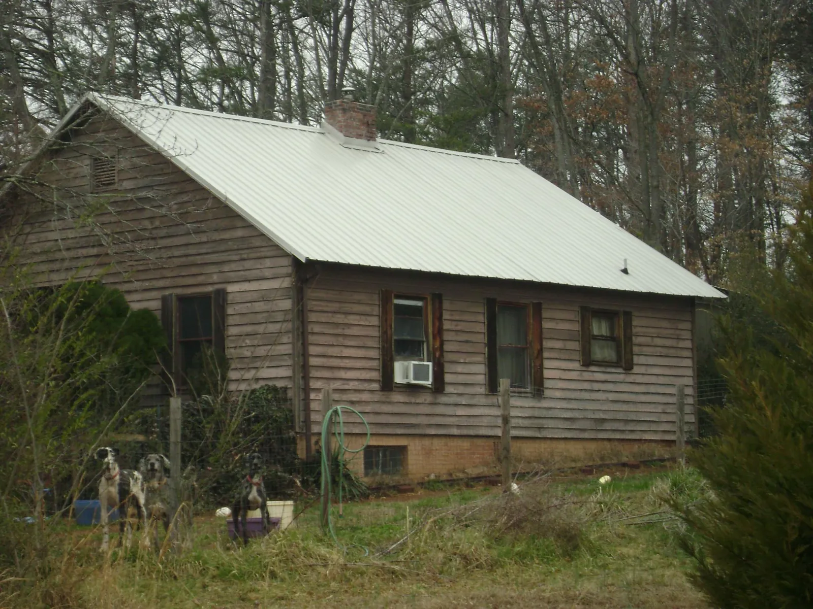 White metal roof on an old wood sided farmhouse, from a Asphalt Shingle Roof Repair job in Haslet